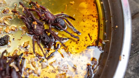 In Kambodscha gelten gebratene Vogelspinnen in pikanter Sauce als Delikatesse. (Foto: Chris Humphrey/dpa)