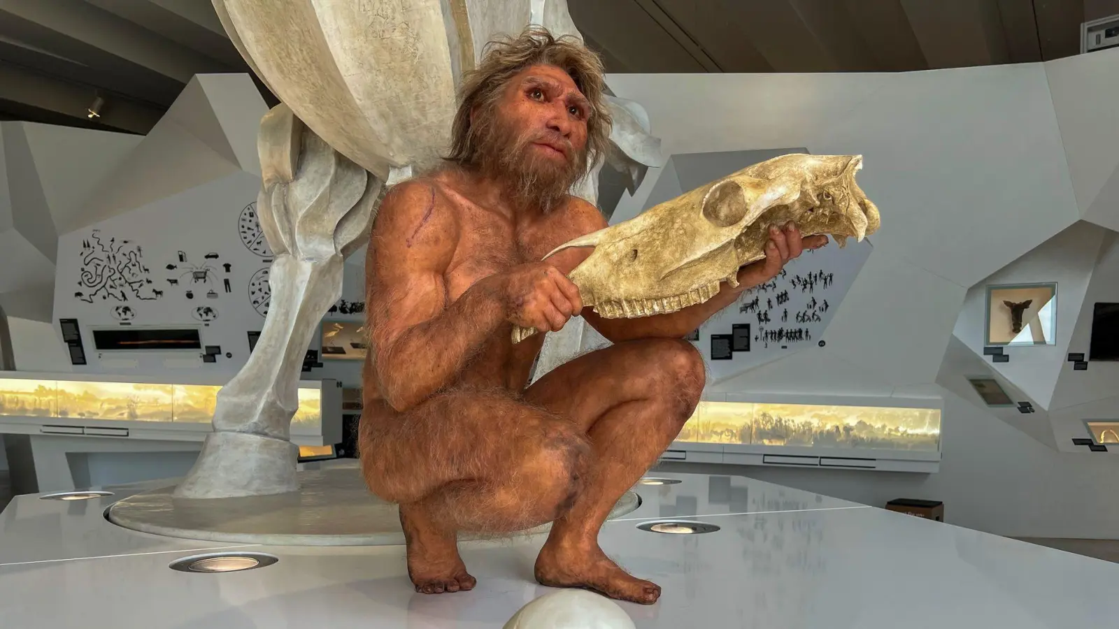 Auf Tuchfühlung mit der Urzeit: Die detailgetreue Wachsfigur eines Homo heidelbergensis im Forschungsmuseum „paläon“ gibt Einblicke in das Leben unserer frühen Vorfahren. (Foto: Ralf Johnen/dpa-tmn)