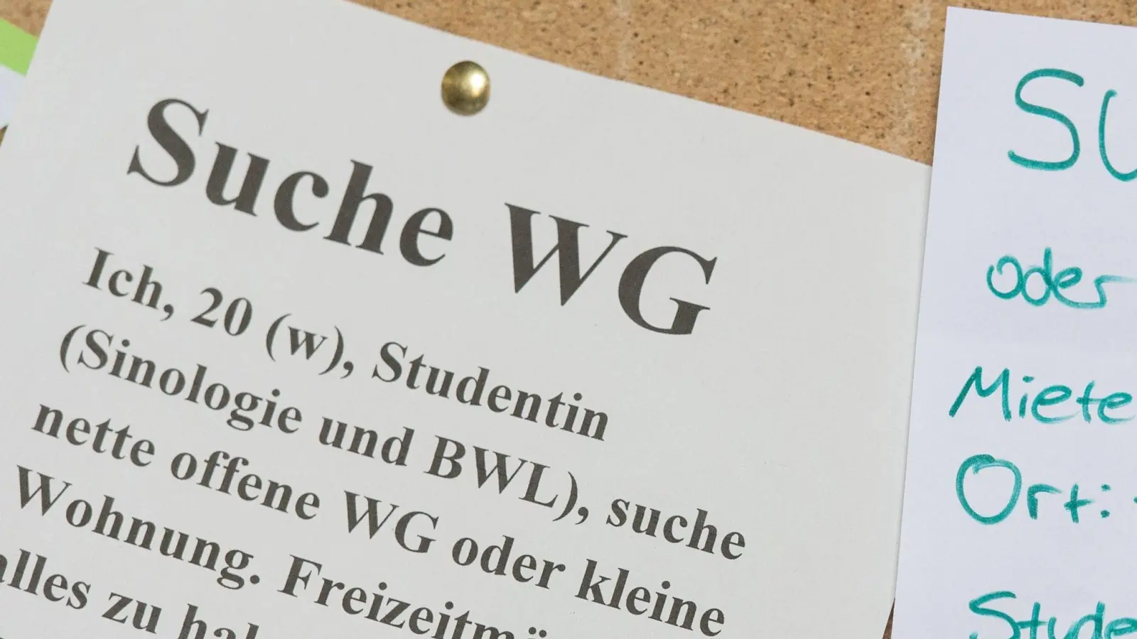 Der Zettel einer WG-Zimmer-Suchenden hängt an einem Schwarzen Brett. (Foto: Patrick Seeger/dpa/Symbolbild)