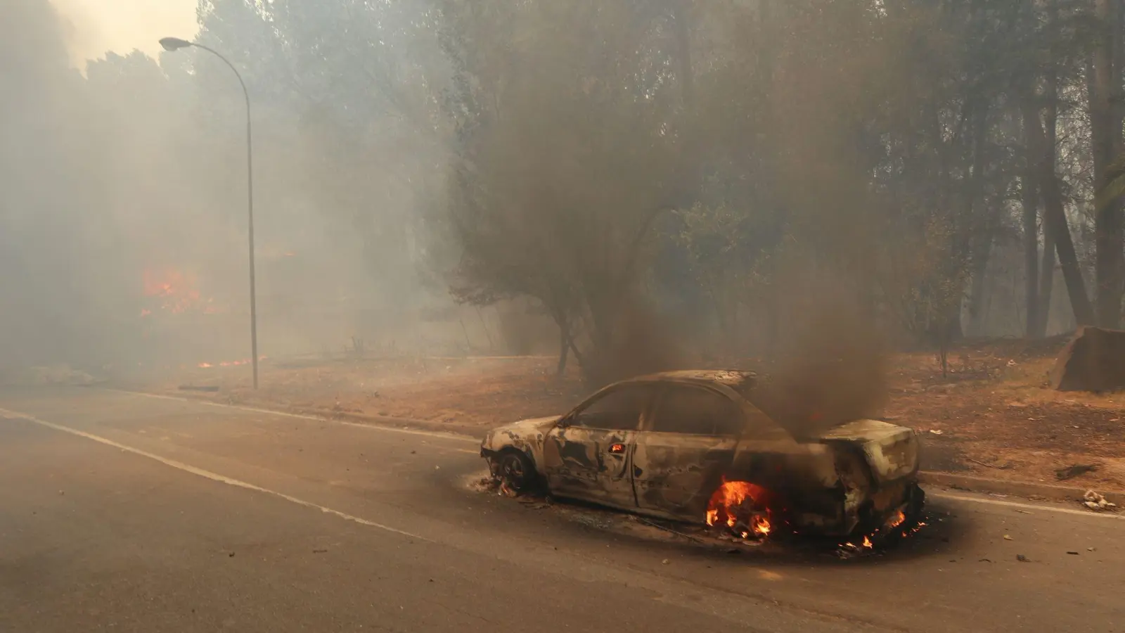 Ein Auto ist den Flammen zum Opfer gefallen. (Foto: Rodrigo Garrido/Agencia Uno/dpa)