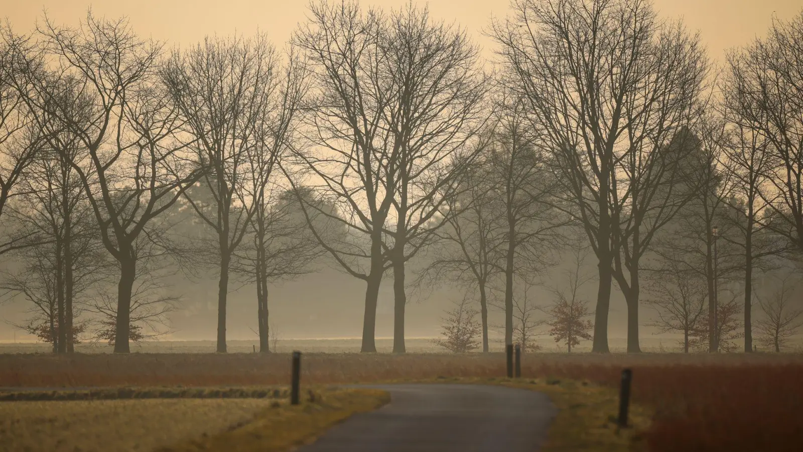 Sahara-Staub kommt auch in Deutschland an. (Archivbild)  (Foto: Christoph Reichwein/dpa)