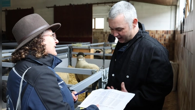 Julia und Frank Berger besprechen vor der Auktion genau, welche Tiere für sie infrage kommen, und stecken den preislichen Rahmen ab.  (Foto: Antonia Müller)