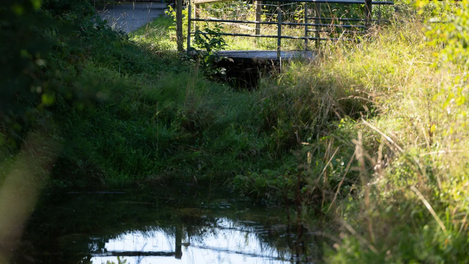 Unter der Brücke hatten Anwohner schon früh den Geruch mitbekommen. (Foto: Markus Lenhardt/dpa)
