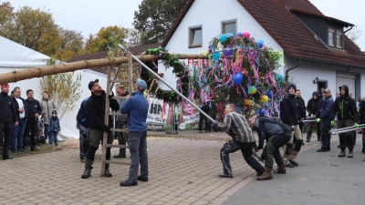 Der schmucke Kirchweihbaum wird wieder gemeinsam aufgestellt. (Foto: Rainer Fritsch)