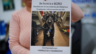 Über diese Familienzusammenführung freut sich ganz Spanien. (Foto: Manu Fernandez/AP/dpa)