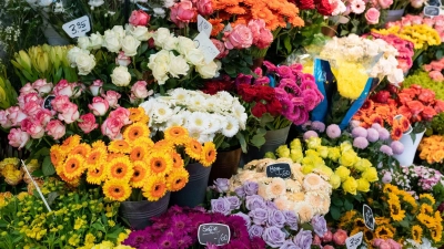 Schnittblumen in einem Blumenladen. Der Blumenstrauß zum Valentinstag wird in diesem Jahr deutlich teurer. (Foto: Ole Spata/dpa)