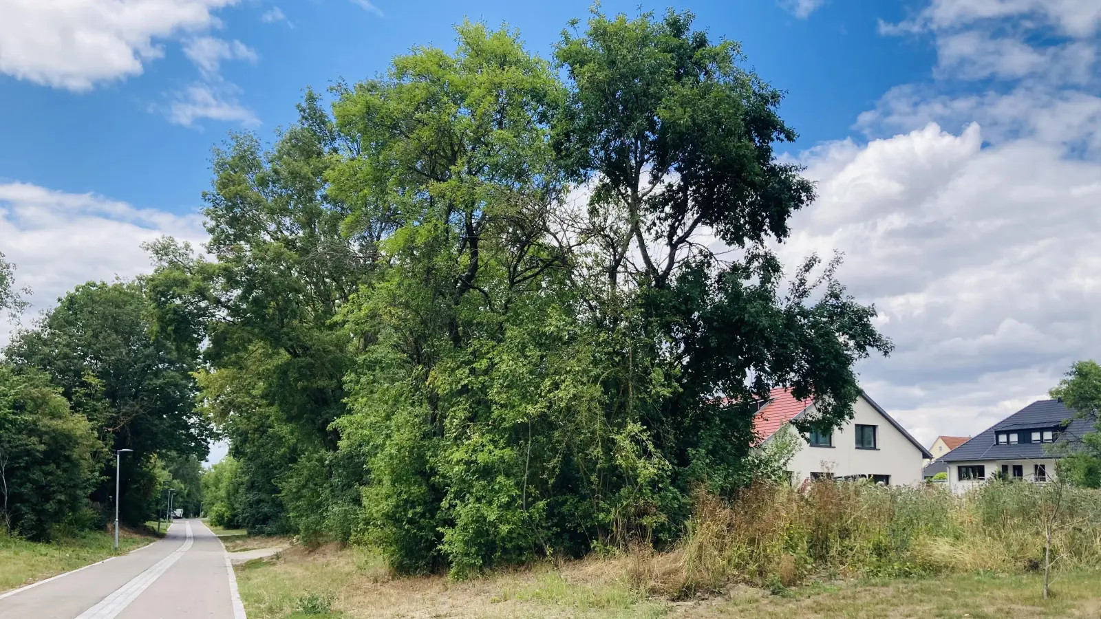 Wer den Zuschlag für den letzten verfügbaren Bauplatz am Philosophenweg bekommt, das wird das Los entscheiden. Der Stadt zufolge gibt es drei interessierte Parteien. (Foto: Clarissa Kleinschrot)