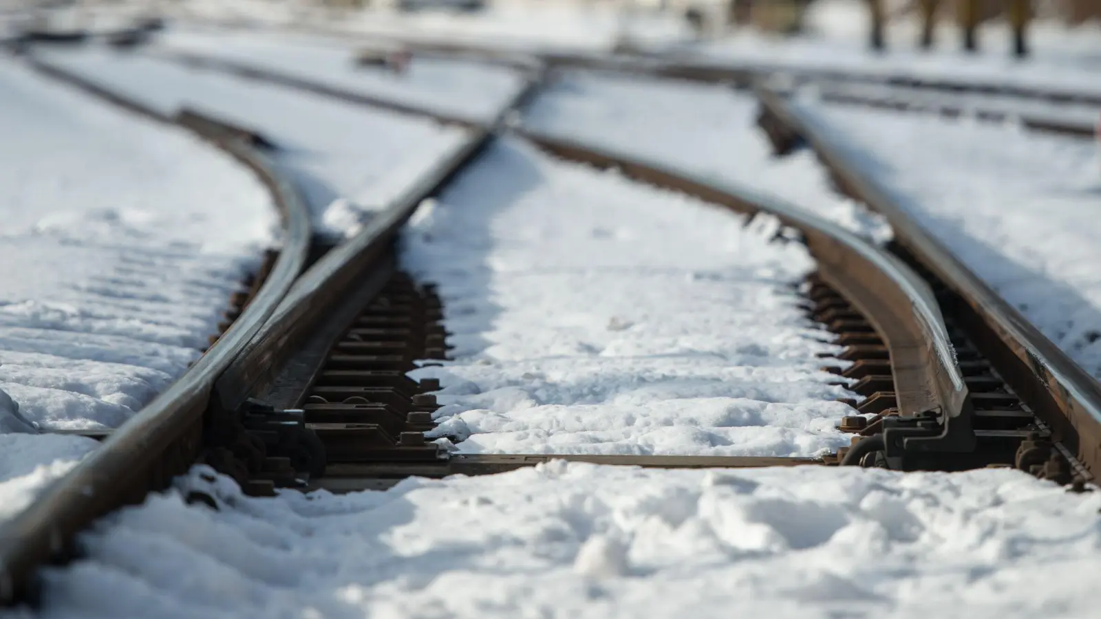 Eine Obdachlose im Gleisbereich hat am Morgen den Bahnverkehr lahmgelegt. (Symbolbild)  (Foto: Matthias Balk/dpa)