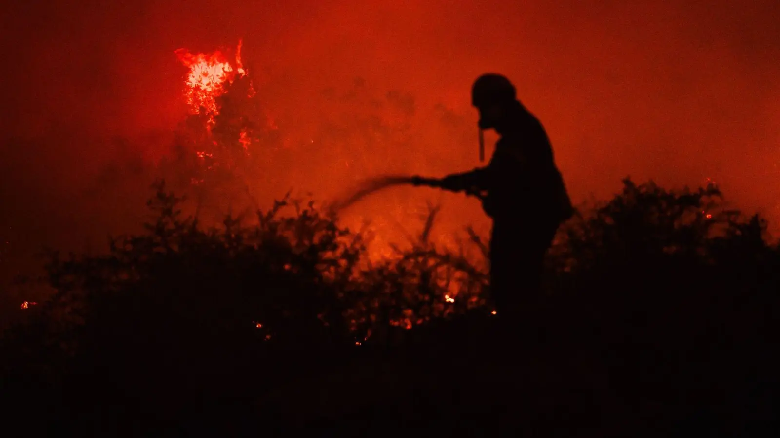 In der Region des Ortes Porto Germenos flammte das Feuer wieder auf. (Foto: Romanos Lioutas/JNA via ZUMA Press Wire/dpa)