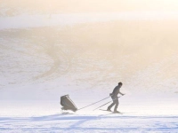 Eine Person ist mit Langlaufski am Hochplateau Ramsau am Dachstein unterwegs. (Foto: Barbara Gindl/APA/dpa)