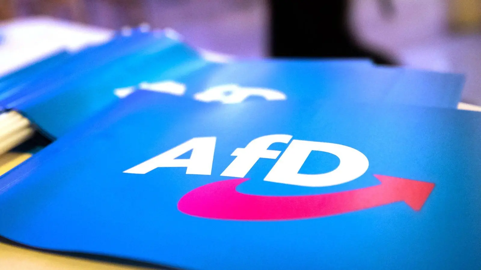 Im Landkreis Ansbach stellt die AfD zur Kommunalwahl eine eigene Liste auf. (Foto: Daniel Karmann/dpa)