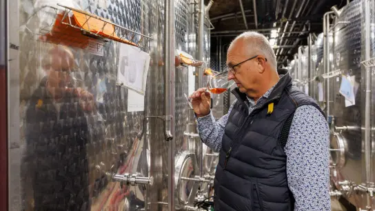 Bernhard Jung, vom Familienunternehmen Carl Jung, beim abschmecken eines Roséweins. (Foto: Jörg Halisch/dpa)