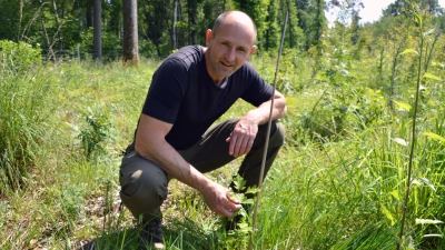 Martin Rückert ist Waldbewirtschafter aus Leidenschaft. Zwischen Custenlohr und Pfeinach hat der 42-Jährige eine Brachfläche mit Elsbeeren und Traubeneichen gemeinsam mit Schulklassen neu bepflanzt. (Foto: J. Zimmermann)