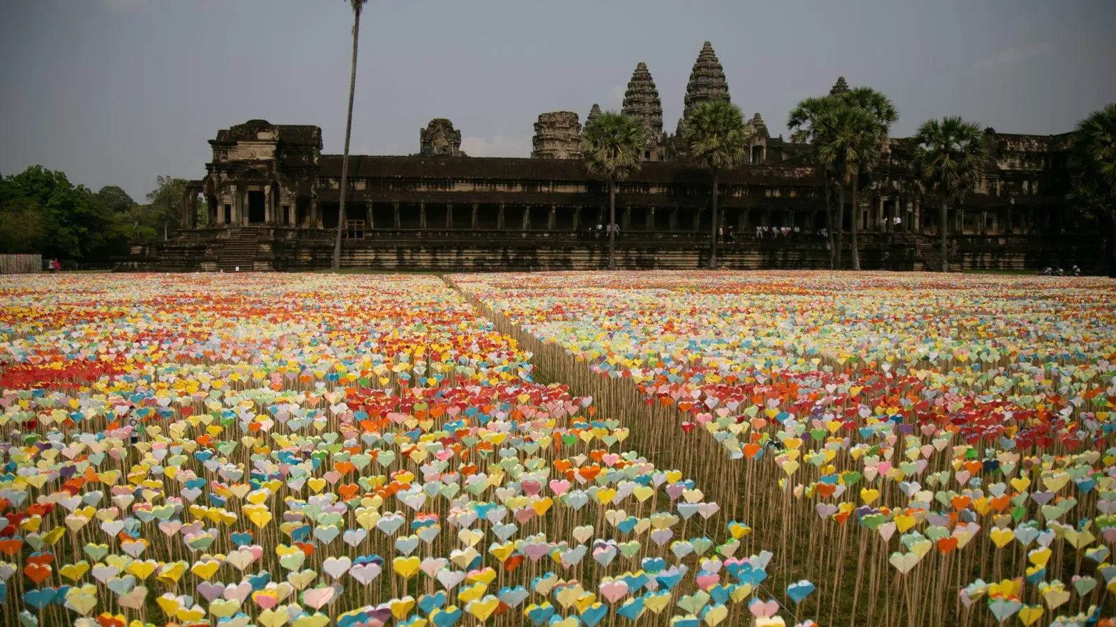 Ein Meer aus Origami-Herzen steht vor der berühmten Tempelanlage Angkor Wat. (Foto: Uncredited/XinHua/dpa)