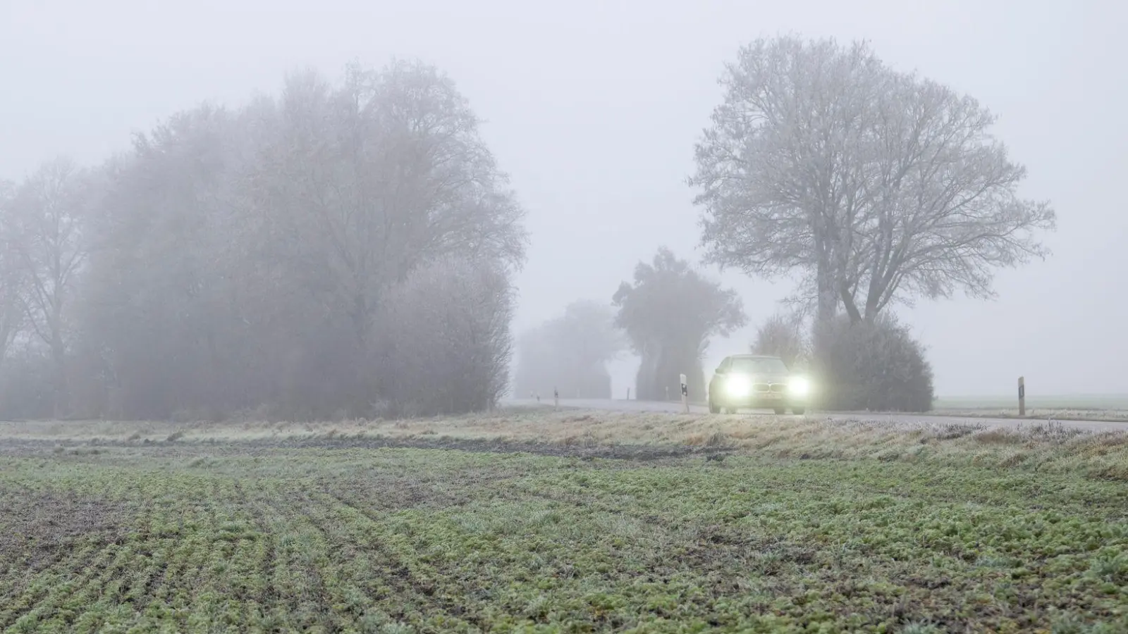 In Bayern gibt es am Wochenende Nebel. (Archivbild) (Foto: Stefan Puchner/dpa)