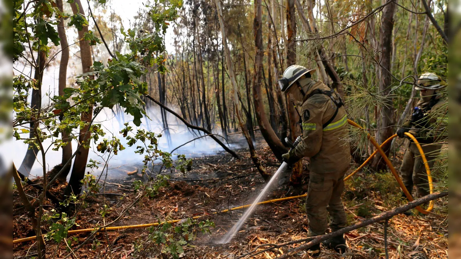 In Portugal gibt es eine leichte Entspannung bei den schweren Waldbränden. Noch aber sind rund 1.400 Feuerwehrleute im Einsatz. (Foto: Xun Wei/XinHua/dpa)