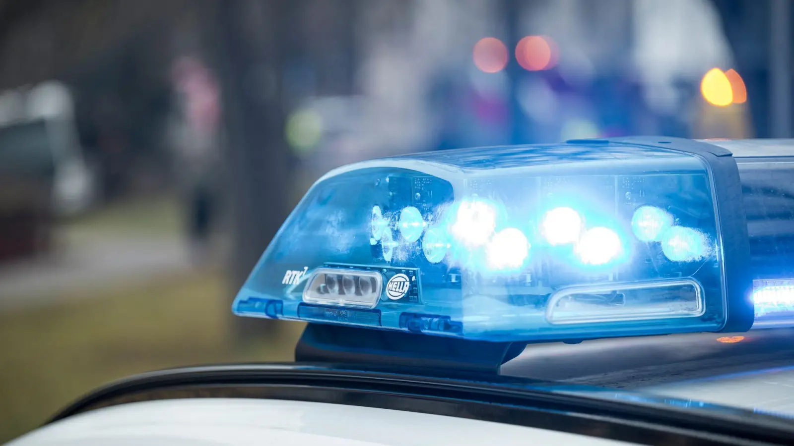 Der Stier konnte auf einem Feldweg betäubt werden. (Symbolbild) (Foto: Daniel Vogl/dpa)