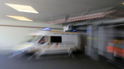 In Frankreich ist erstmals eine Shamonda-Virus-Infektion bei einem Menschen festgestellt worden (Archivbild). (Foto: David Vincent/AP/dpa)