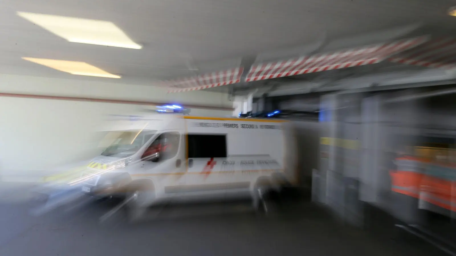 In Frankreich ist erstmals eine Shamonda-Virus-Infektion bei einem Menschen festgestellt worden (Archivbild). (Foto: David Vincent/AP/dpa)