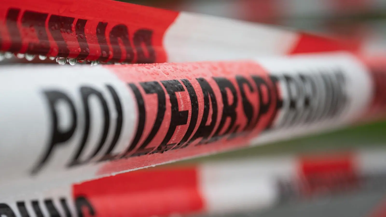 Die Polizei sperrte die Autobahn für rund zwanzig Minuten. (Symbolbild) (Foto: Sebastian Kahnert/dpa)