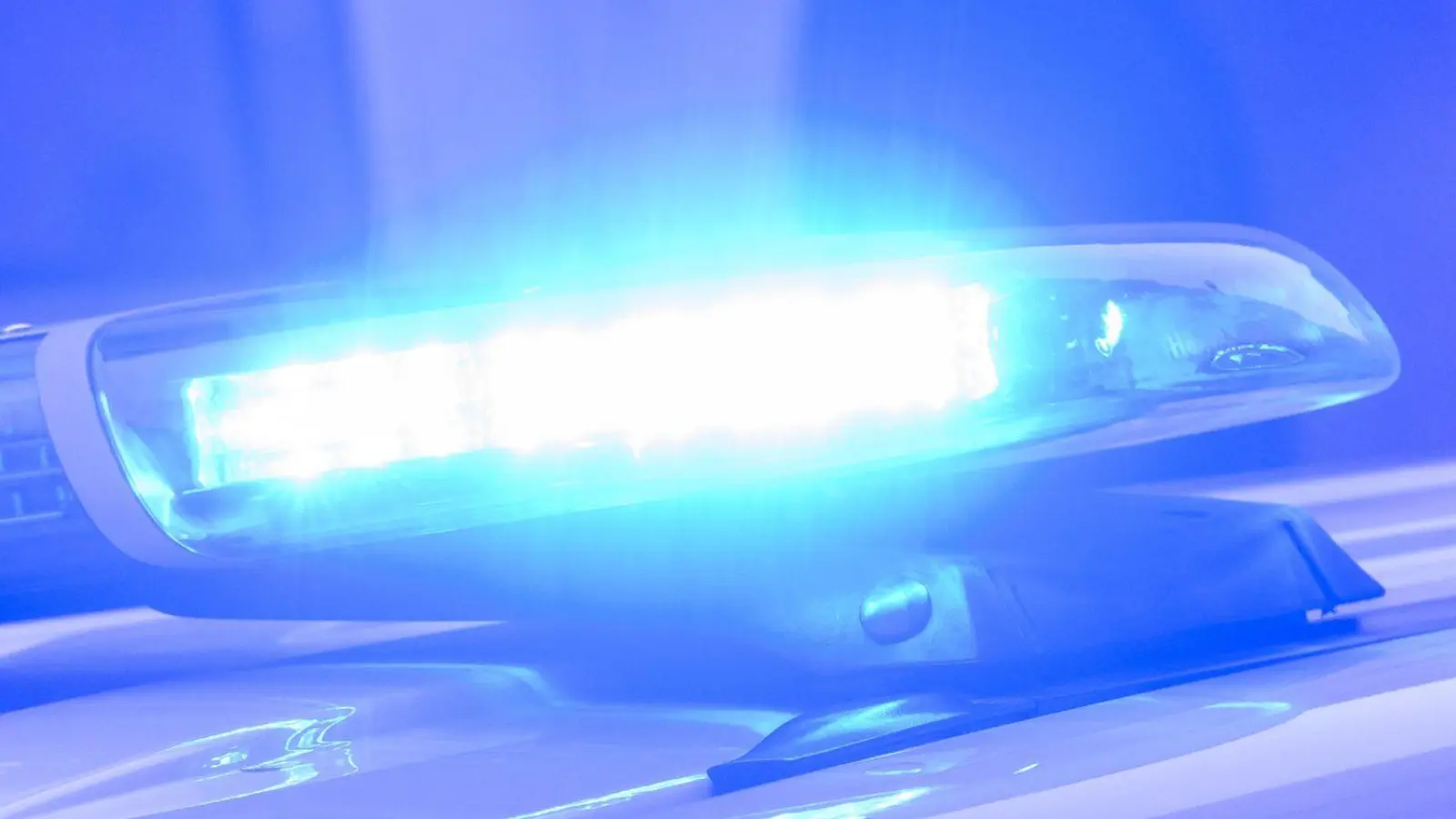 Einsatz auf einer Party: Mehr als zehn Beamte waren nötig, um zu deeskalieren. (Symbolbild) (Foto: Julian Stratenschulte/dpa)