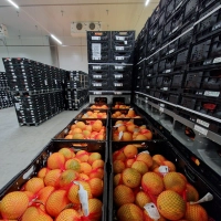Kisten über Kisten mit Orangen und anderen Früchten türmen sich in der Kühlhalle. (Foto: Andrea Walke)