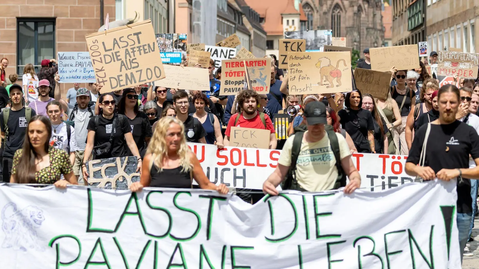 Die Aufregung ist groß, seitdem der Tiergarten im Februar 2024 angekündigt hat, einige seiner Guinea-Paviane aus Platzmangel töten zu wollen. (Foto: Daniel Karmann/dpa)