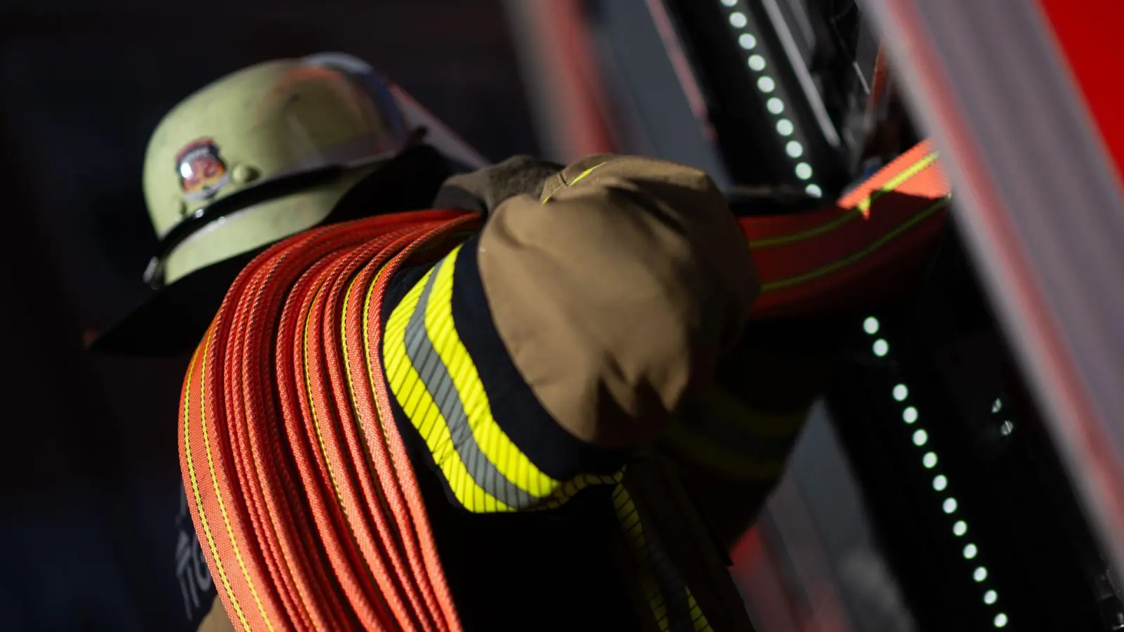 Mehrere Kühe sind bei dem Brand gestorben. Einige Tiere hat die Feuerwehr aber retten können. (Symbolbild) (Foto: Marijan Murat/dpa)