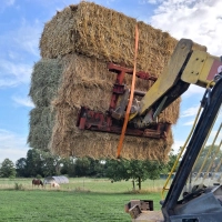 Großballen bis aus Thüringen hat ein Pferdehalter aus Mitteldachstetten kommen lassen, um seine Tiere versorgen zu können. (Foto: Fritz Arnold)