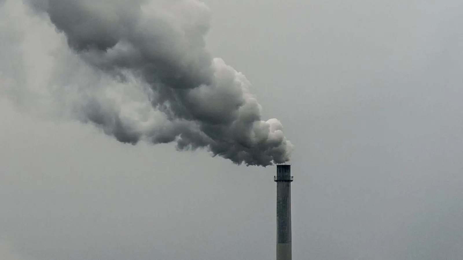 Qualm steigt aus dem Schornstein einer Fabrik. Laut dem Europäischen Wissenschaftlichen Beirat zum Klimawandel wird zur Erreichung der EU-Klimaziele noch nicht genug getan. (Foto: Armin Weigel/dpa)