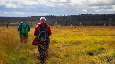 Ein Farbschauspiel, wenn der Himmel aufreißt: Die vielfältige Vegetation macht das Hochmoor so besonders. (Foto: Deike Uhtenwoldt/dpa-tmn)