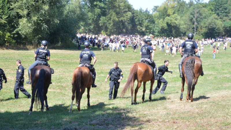 Dass die Reiterstaffel beim Schanzenfest 2026 im Einsatz war, erachtet Präsidiums-Pressesprecherin Janine Mendel auch rückblickend als sinnvoll. Diese mit Böllern zu beschießen, sei indes „völlig inakzeptabel”. (Foto: Johannes Zimmermann)