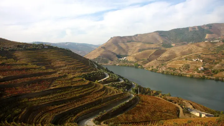 Weinberge entlang des Ufers - der Douro fließt in der Nähe von Pinhão mitten durch die Region, aus der die Trauben für den berühmten Portwein kommen. (Foto: Hilke Segbers/dpa-tmn)