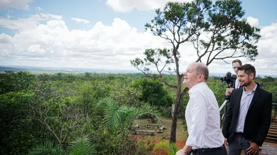 Bundeskanzler Olaf Scholz besucht zum Abschluss seiner Lateinamerika-Reise den Cerrado-Nationalpark in Brasiliens Hauptstadt Brasilia. (Foto: Kay Nietfeld/dpa)