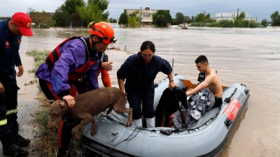 Feuerwehrleute mit einem Schlauchboot evakuieren Menschen und ihre Hunde aus überfluteten Gebäuden. (Foto: Vaggelis Kousioras/AP/dpa)