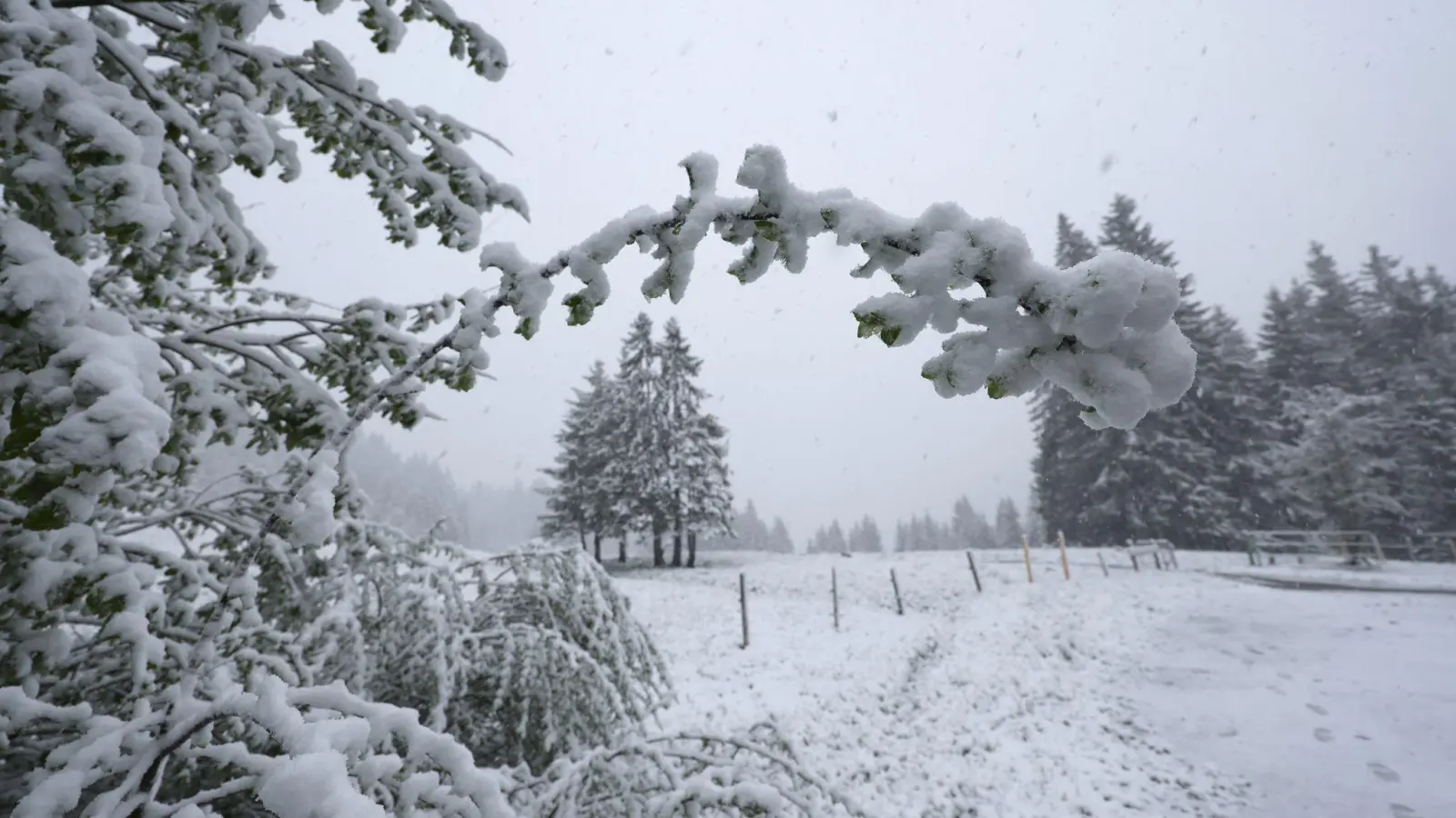 Rund um den Riedbergpass im Allgäu präsentierte sich die Landschaft winterlich weiß. (Foto: Karl-Josef Hildenbrand/dpa)