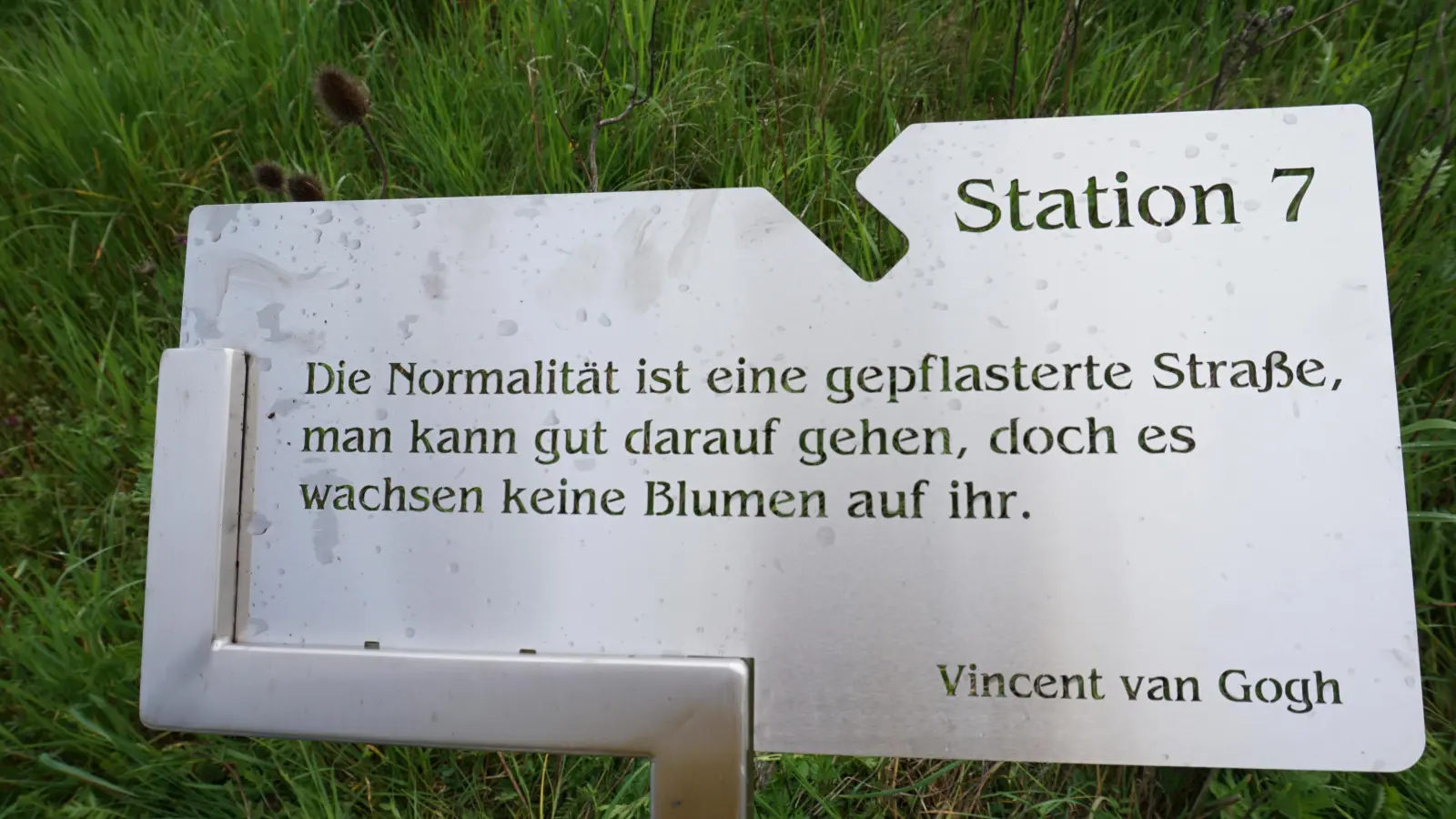 Einer der Sprüche wird Vincent van Gogh zugeschrieben. (Foto: Andrea Walke)