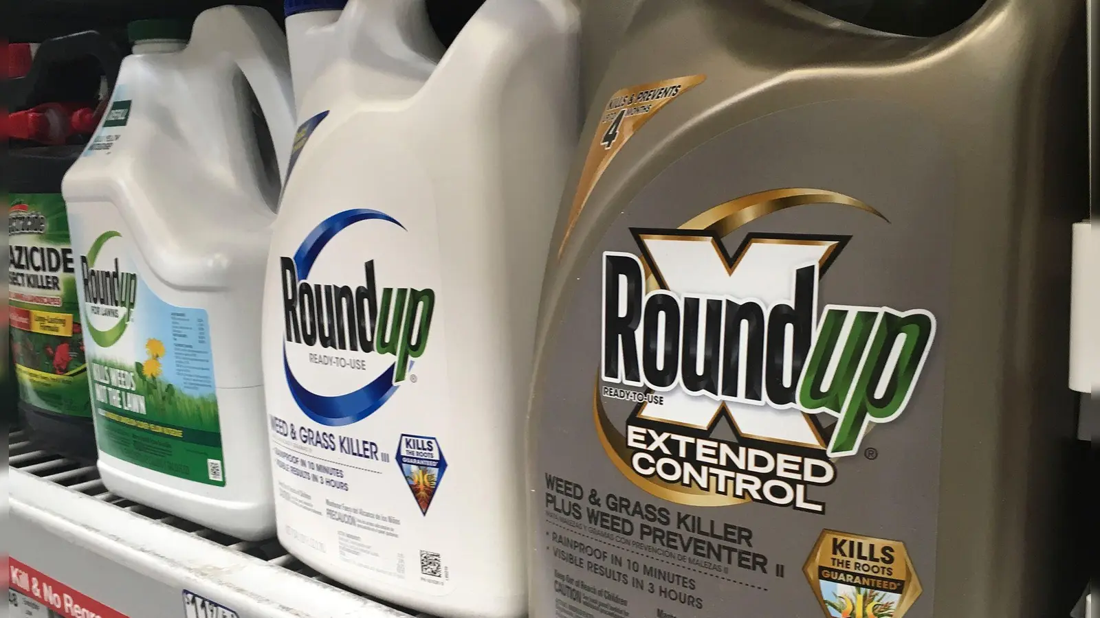 Behälter mit Roundup stehen in einem Ladenregal in San Francisco. (Archivbild) (Foto: Haven Daley/AP/dpa)