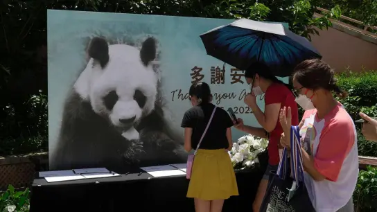 Besucher schreiben in Kondolenzbücher nach dem Tod des chinesischen Riesenpandas An An im Ocean Park. (Foto: Kin Cheung/AP/dpa)