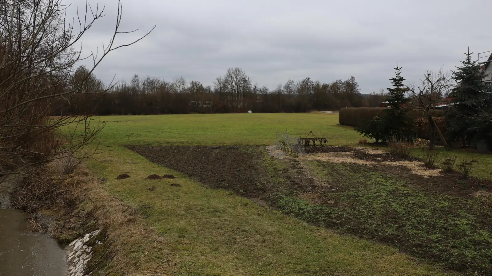 Diese Grünfläche könnte Bauland werden. Hinter dem Buschwerk im Hintergrund führt die B 470 vorbei.<br> (Foto: Karl-Heinz Panzer)