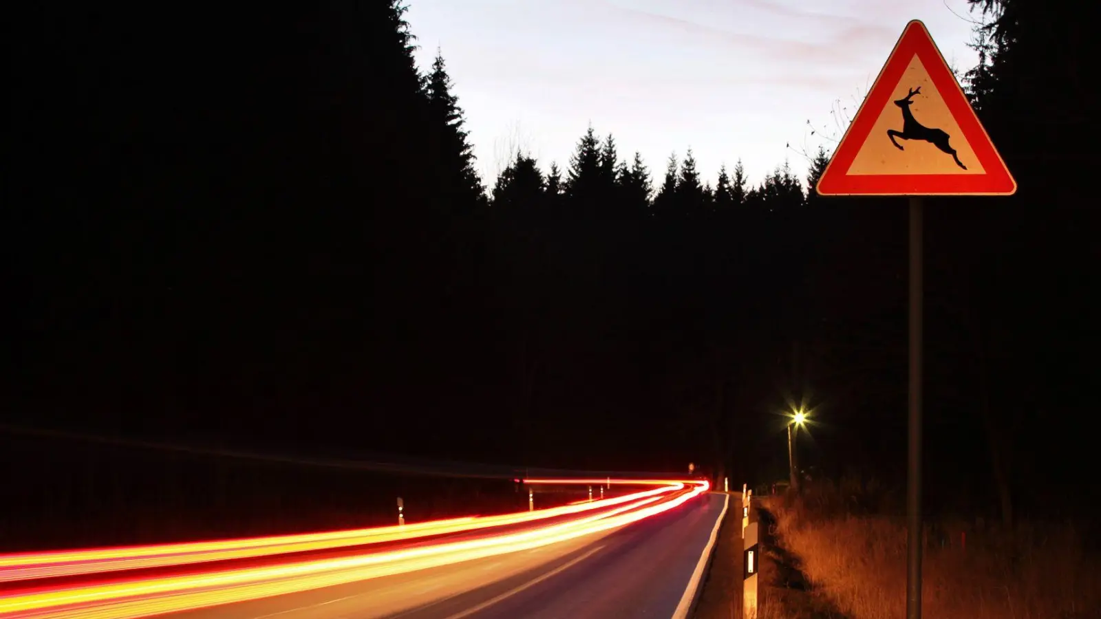 Plötzlich rennt ein Reh auf die Straße - mit Folgen für die Autofahrerin. (Symbolbild) (Foto: Jan Woitas/dpa-Zentralbild/dpa)