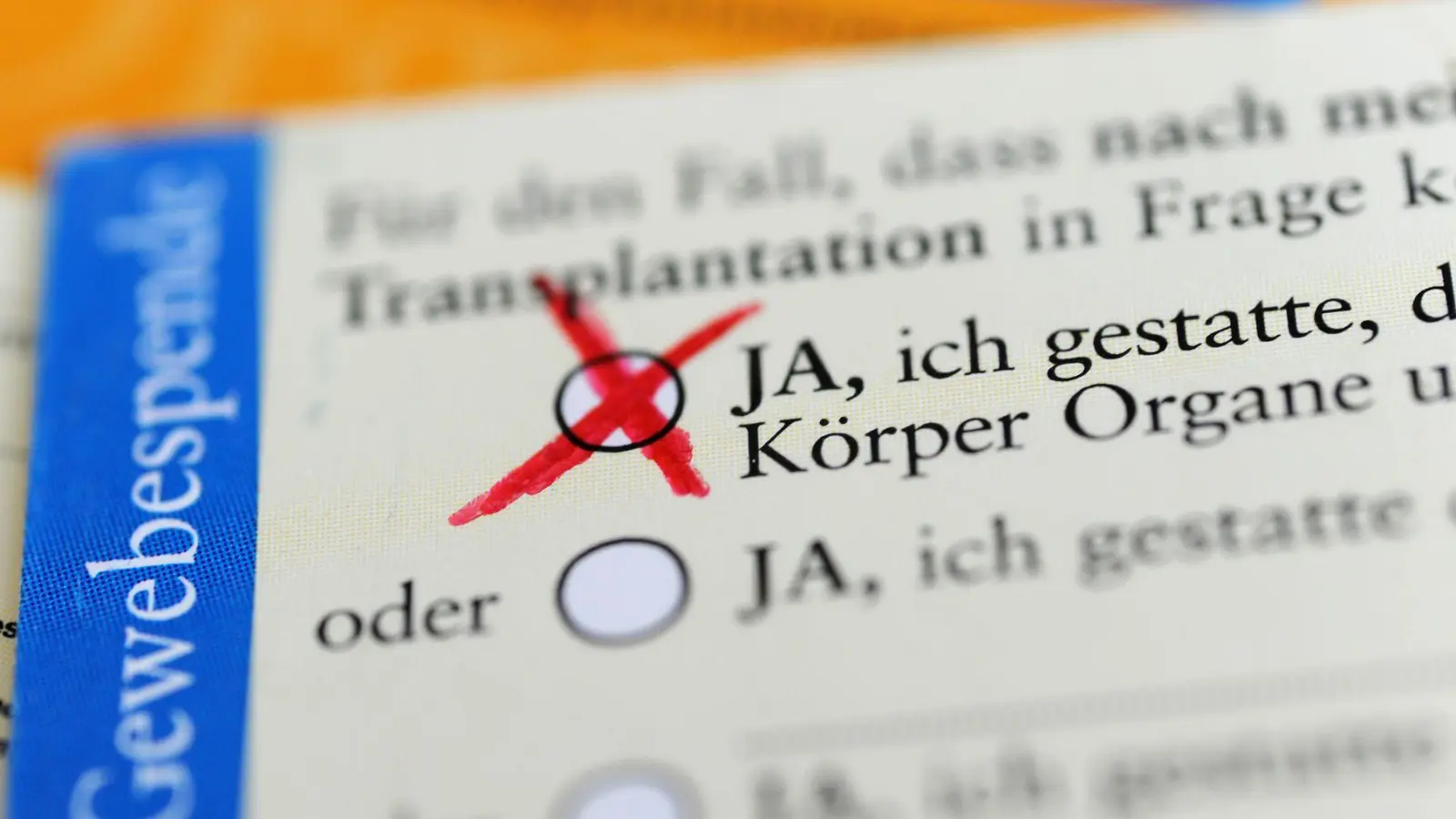Bisher müssen künftige Organspender der Weiterverwertung ihrer Organe nach dem Tod ausdrücklich zustimmen. (Symbolbild) (Foto: Marie Reichenbach/dpa)