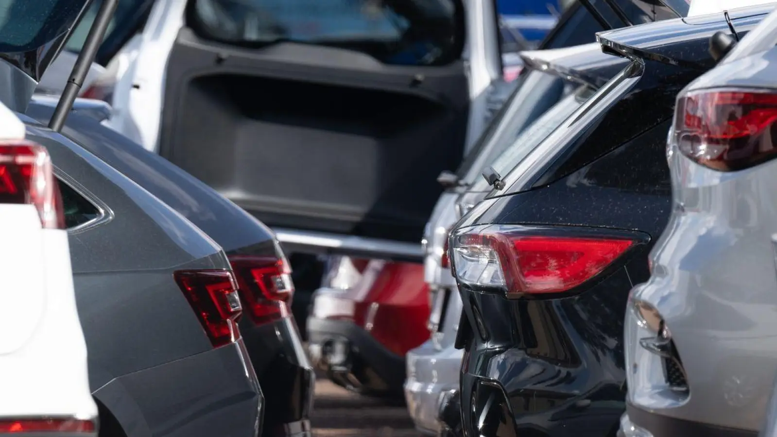 Neuwagen und Gebrauchtwagen stehen bei einem Autohändler nebeneinander. Gründe für den Preisverfall seien etwa die stagnierende Nachfrage nach E-Autos. (Foto: Sebastian Kahnert/dpa)