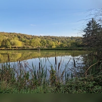 Die Zukunft des Wassers in der Gemeinde: Die Fischweiher in Neusitz liegen ruhig inmitten der wieder grünenden Natur. Der Graben zwischen und hinter den Weihern könnte künftig noch mehr Wasser zurückhalten.  (Foto: Leonie Lang)