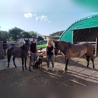 Nicole Wirth mit Wallach Alfalfa (rechts), dem Hofhund Sam, ihrem Partner Uwe Kranz und Hengst Till. Dieses Team kümmert sich darum, Lernhürden zu überwinden, Stärken zu entdecken und Selbstvertrauen aufzubauen. (Foto: Michaela Krauth)