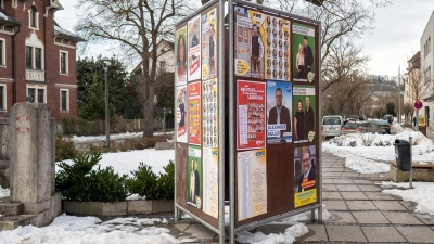 Wahlplakate zur Kommunalwahl 2026 in Neustadt/Aisch: Wer zieht ins Rathaus ein? (Foto: Mirko Fryska)
