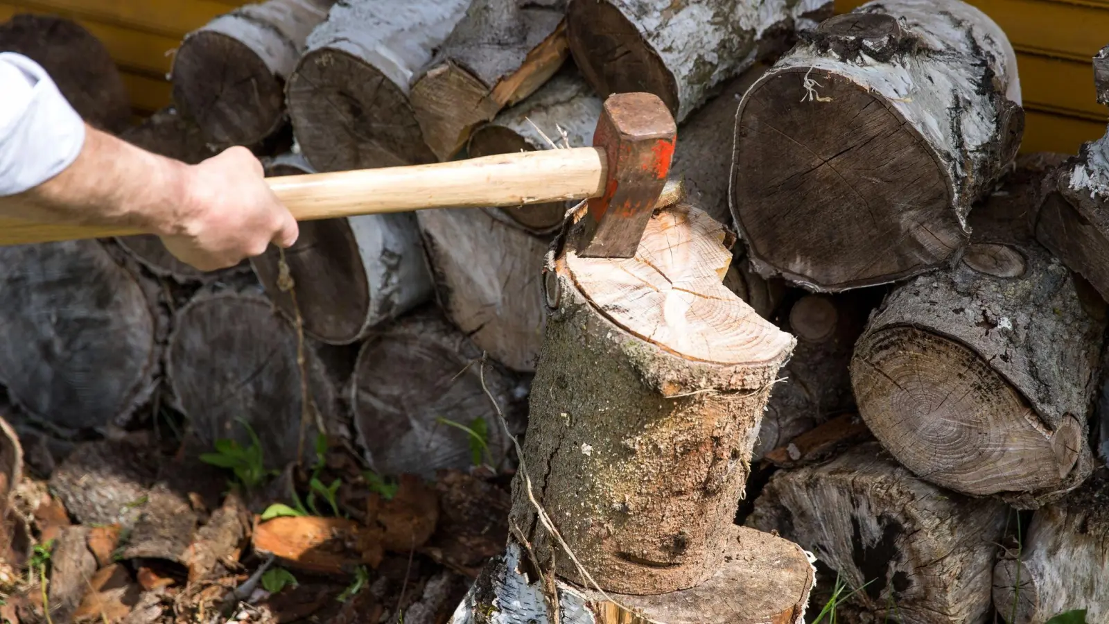 Frisch geschlagenes Holz kann nicht sofort verheizt werden, es muss erst trocknen - und zwar bis es weniger als 20 Prozent Wassergehalt hat. (Foto: Daniel Karmann/dpa/dpa-tmn)