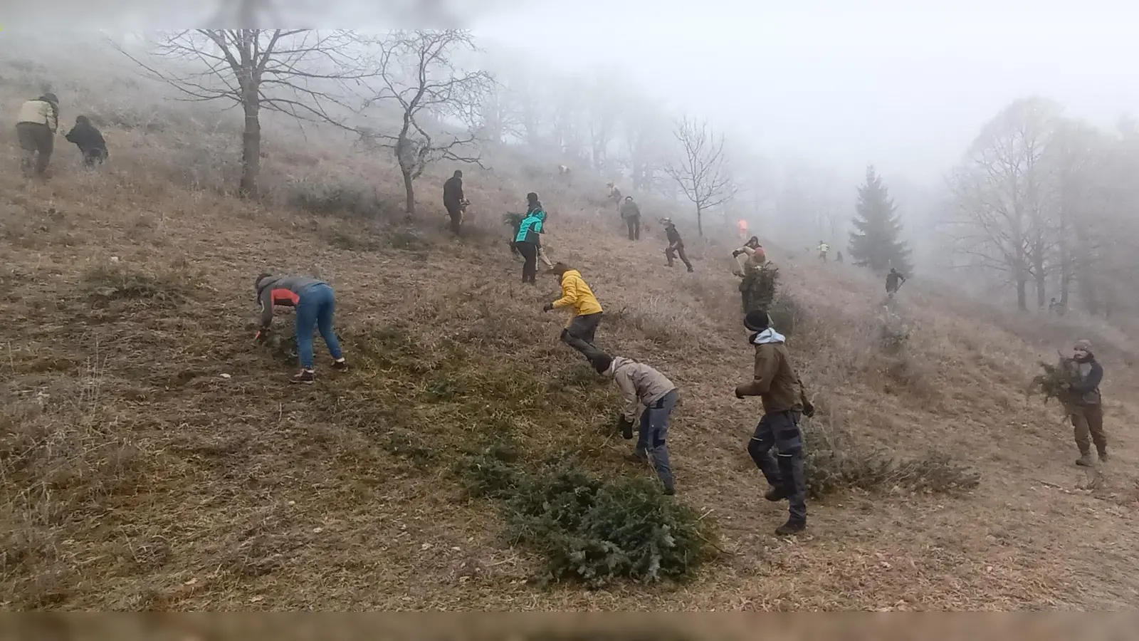 Studierende der FH Triesdorf packten mit an, um den Südhang des Hesselbergs zu entbuschen. (Foto: Landschaftspflegeverband/Norbert Metz)