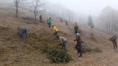 Studierende der FH Triesdorf packten mit an, um den Südhang des Hesselbergs zu entbuschen. (Foto: Landschaftspflegeverband/Norbert Metz)