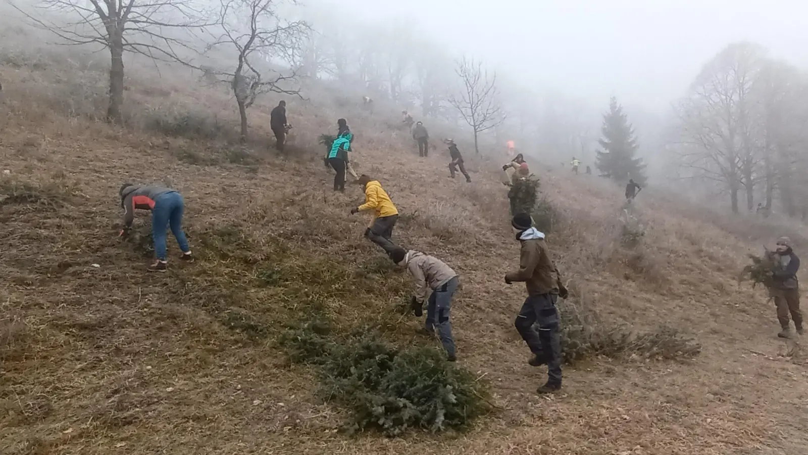 Studierende der FH Triesdorf packten mit an, um den Südhang des Hesselbergs zu entbuschen. (Foto: Landschaftspflegeverband/Norbert Metz)